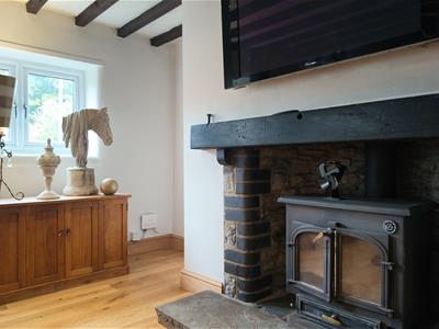 Picture 7